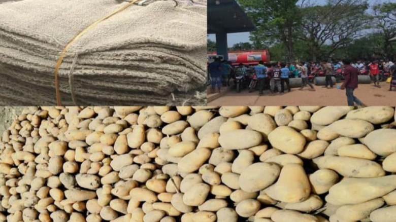 তানোরে তেলের সংকট ওবস্তা সিন্ডিকেটের দৌরাত্ম্য: দিশেহারা আলু